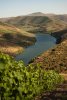 Douro