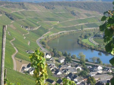 Kategoriebild der Kategorie “Mosel-Saar-Ruwer”