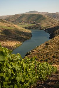 Kategoriebild der Kategorie “Douro”