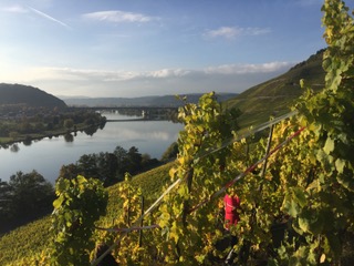 Mosel-Saar-Ruwer