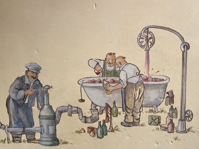 Kategoriebild der Kategorie “Wein”