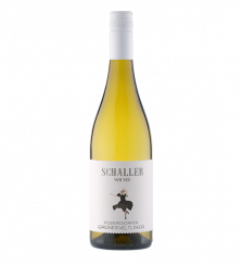 2025er Podersdorfer Grüner Veltliner 