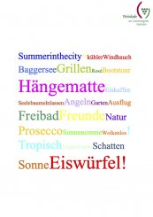 Summer in the City 12er Paket 2026 