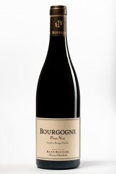 2020er Bourgogne Pinot noir 
