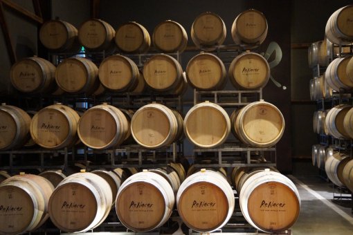 2024er Punto Final Malbec - Bodegas Renacer 