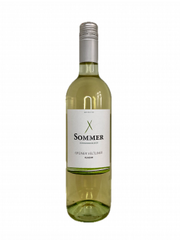 2024er Grüner Veltliner Klassik 