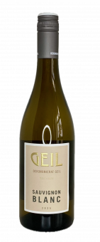 2025er Sauvignon Blanc trocken (G) 