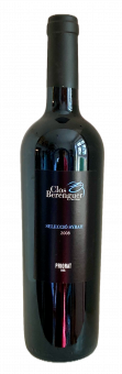 2008er Selecció Syrah 