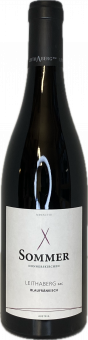 2020er Blaufränkisch Leithaberg DAC 