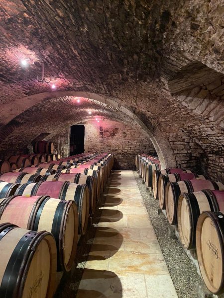 Artikelbild des Artikels “2022er Bourgogne Chardonnay “