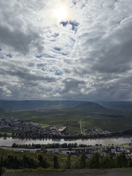 Artikelbild des Artikels “Riesling Sekt Brut “