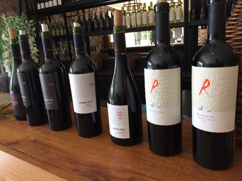 Artikelbild des Artikels “2021er Punto Final Malbec Reserva “