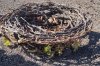 Artikelbild 3 des Artikels “2022er Assyrtiko Santorini Wild Ferment “