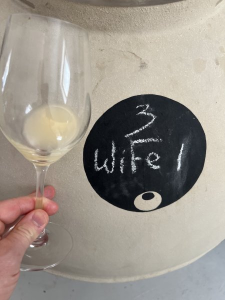Artikelbild 3 des Artikels “2022er Ammonite Assyrtiko Single Vineyard “