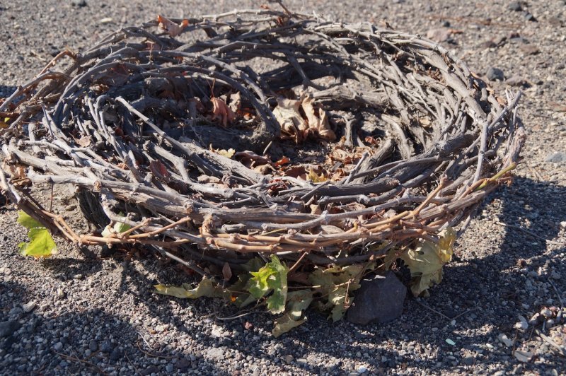 Artikelbild 3 des Artikels “2022er Assyrtiko Santorini Wild Ferment “