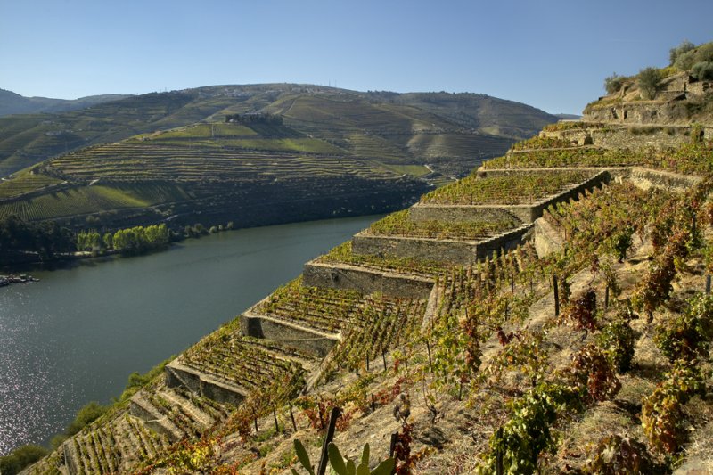 Artikelbild 3 des Artikels “2022er La Rosa Reserva Red Wine Quinta de la Rosa “